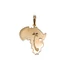 Afrika arany medál