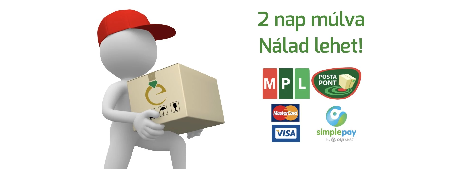 2 napos szállítás